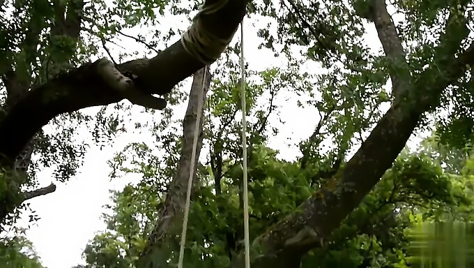 Juego De Jardín De La Novia Con Grandes Tetas