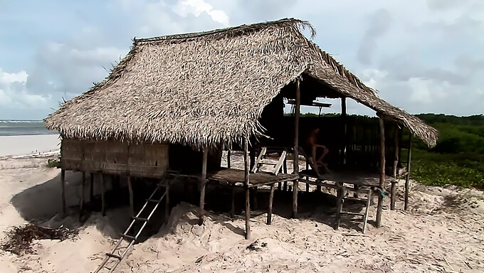 Dua Pasangan Terlibat Dalam Seks Oral Dan Anal Di Pulau Tropis.