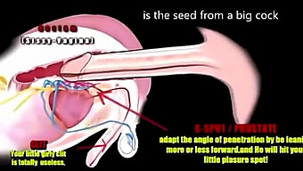 Trải Nghiệm Cảm Giác Hồi Hộp Của Một Con Cặc Đen Lớn Trong Cái Mông Chặt Của Tôi